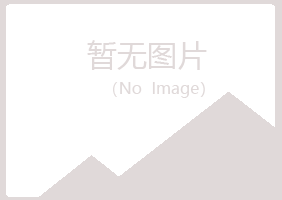 龙岩新罗初夏咨询有限公司